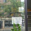 데스티니 퍼피 이미지