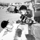 재명농장 이미지