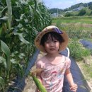 해나농장 이미지