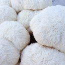 보현농장 이미지