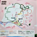 섬진강 테마로드2(두꺼비바위쉼터) | [광양매화축제장] 맨발걷기 체험으로 매화손수건을 받고, 매화문화원까지 걸어보다(1)