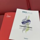 프롭테라피&밴드운동 | 레드밸런스 서울숲ㅣ볼란스 테라피(BALLance Therapy)ㅣ교육 후기 필라테스 센터 운동치료 병원 교육 추천
