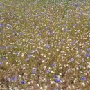 상복목장 이미지