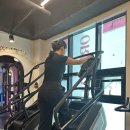 오렌다 핏 이미지