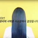 올리브헤어나인