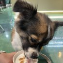 커피살롱 이미지