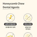 멍냥이꼬 네이버블로그