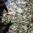 인천세관 이미지