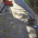 대종다방 이미지