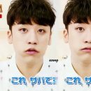 개귀여워 이미지