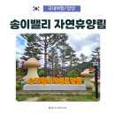 숲속의 아일랜드유치원 | 양양 송이밸리 자연휴양림 : 숲속의집 산양 객실, 부대시설, 주변 볼거리 추천