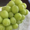 보은메추리농장 | 주간일기_ 16, 집밥, 주말 나들이, 오빠의 출장준비