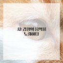 장르별 글쓰기(소설) | 장르별 글쓰기 가이드: 소설, 에세이, 시, 논픽션 특징 익히기