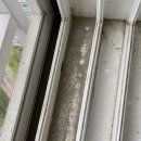 친환경농업연구소 화장실 | 25평 신혼집 청소연구소 입주청소 비용 가격 견적 후기