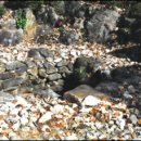 단종 어수정 이미지