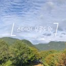 스테이무릉도원 이미지