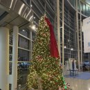 맘마쿡 | 2025년 뮤지컬 대구맘마미아 관람후기