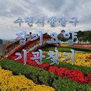 경기도 수원시 팔달구 월드컵로357번길 이미지