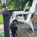 세네동신축&스파펜션 이미지