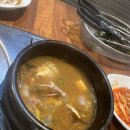 대한 고기 만세 이미지