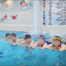 월드스포츠스쿨 아쿠아센터 이미지