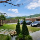 보매기길 이미지