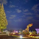 야간)꽃과 원예 이미지