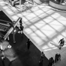 빅 픽쳐스 이미지