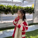 채원농원 이미지