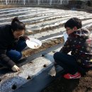 세성초등학교 이미지