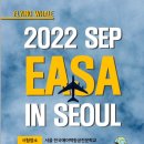 플라잉웨일에비에이션