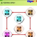 북유럽 병원 이야기~감기 몸살의 처방을 어떻게 하는지 이미지