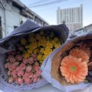 주식회사 이노푸드 | 달빛유자 고흥 유자 막걸리 내돈내산 이노푸드투어 맛후기