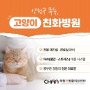 목동찬동물의료센터 이미지