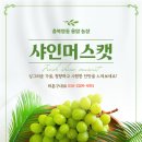 용암농장 네이버블로그