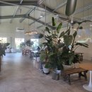 휘슬커피 (WHISTLE COFFEE) | 충남 내포 카페 [카페휘슬] 방문 후기