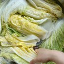 (12/15) 배추김치 담그기 이미지