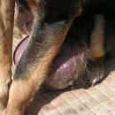 생명의집 이미지