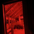 꿀꿀이목장 이미지