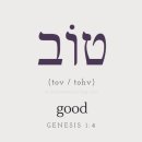 토브(TOV) 이미지