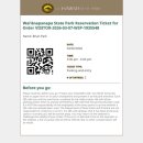 블랙비치 | 하와이 마우이섬 필수코스 로드투하나 다녀온 후기, 블랙샌드비치 예약방법 꿀팁 정보