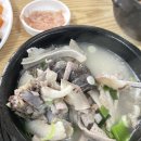도지울순대국 | [이천]증포동 순대국 맛집 도지울토종순대국