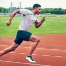 엠디디피티 이미지