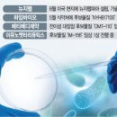 대안3 네이버블로그