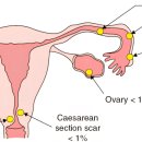 새봄산부인과의원 이미지