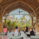 퍼피원데이 | 발리 우붓 여행 루메리아 요가 원데이 후기 가격 | 예약없이 워크인 추천 Lumeria Yoga
