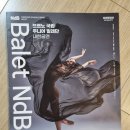 (공연) 체코 브르노 국립주니어 발레단 내한공연 | 체코 브르노 국립 주니어 발레단 내한공연. 세종예술의전당