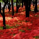 활천공원 이미지