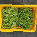 맹씨네 농장 이미지