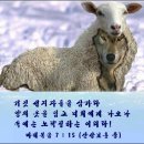 스마야